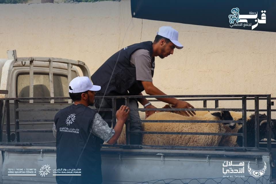 انطلاق حملة “قُربة” لتوزيع أضاحي العيد بدعم من منتدى حوار الشباب